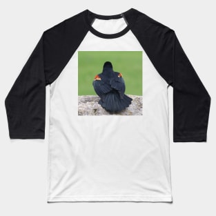 An Elegant Red-Winged Blackbird Baseball T-Shirt